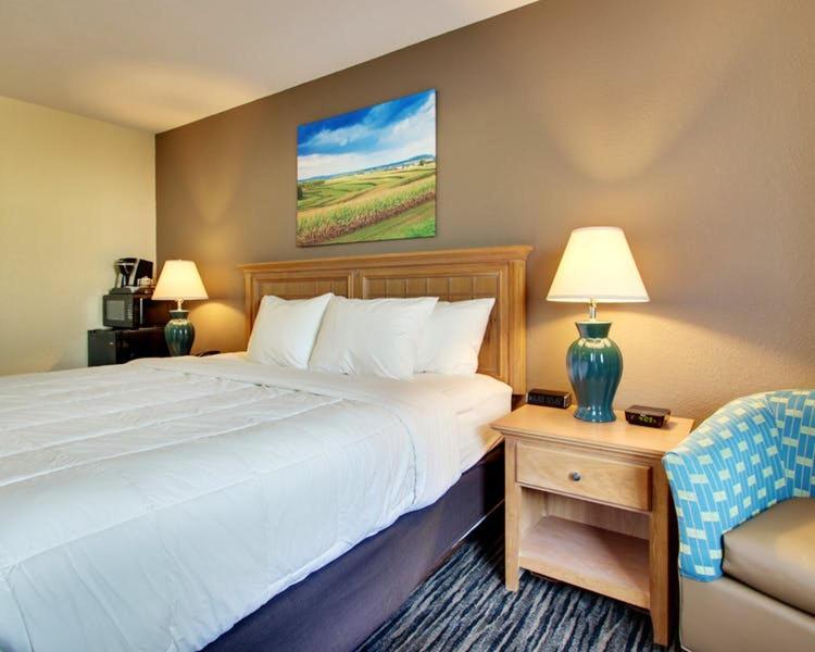 King Room - Disability Access interior
